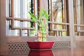 Vaastu Shastra interiors