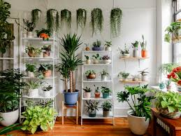 indoor plant décor ideas